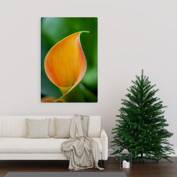 Orange Calla Lily - Canvas - Visiting This World