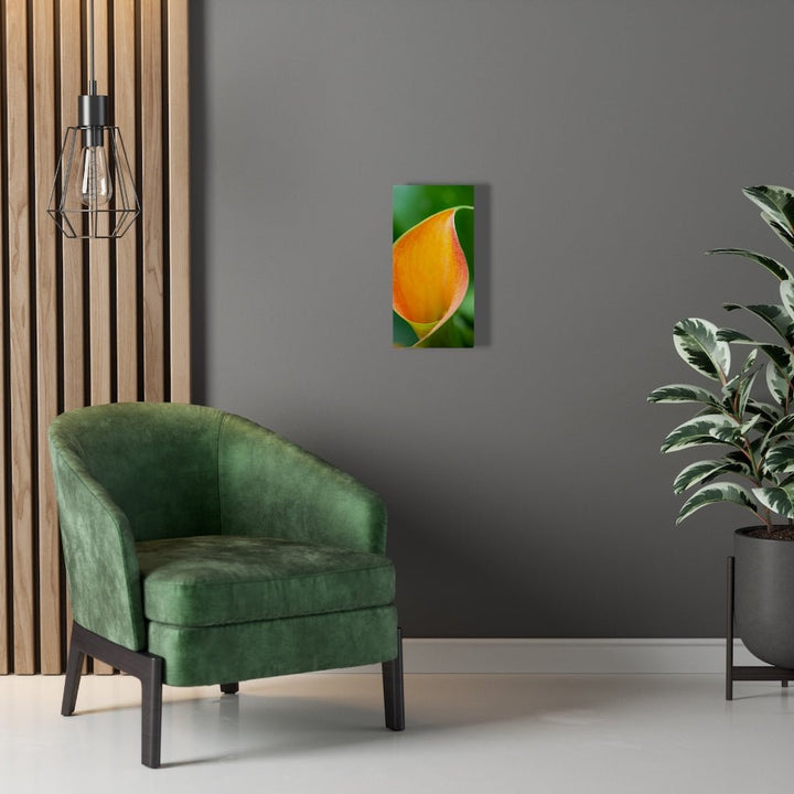 Orange Calla Lily - Canvas - Visiting This World