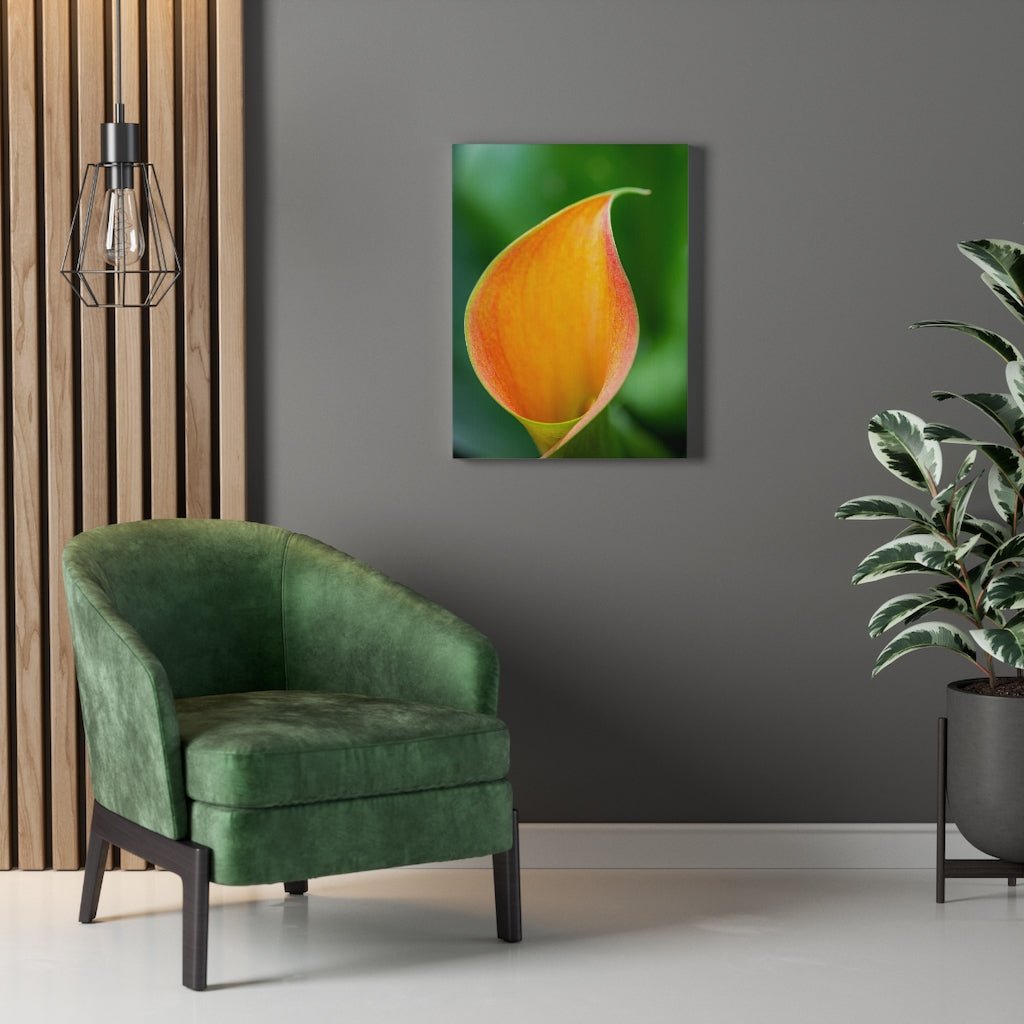 Orange Calla Lily - Canvas - Visiting This World