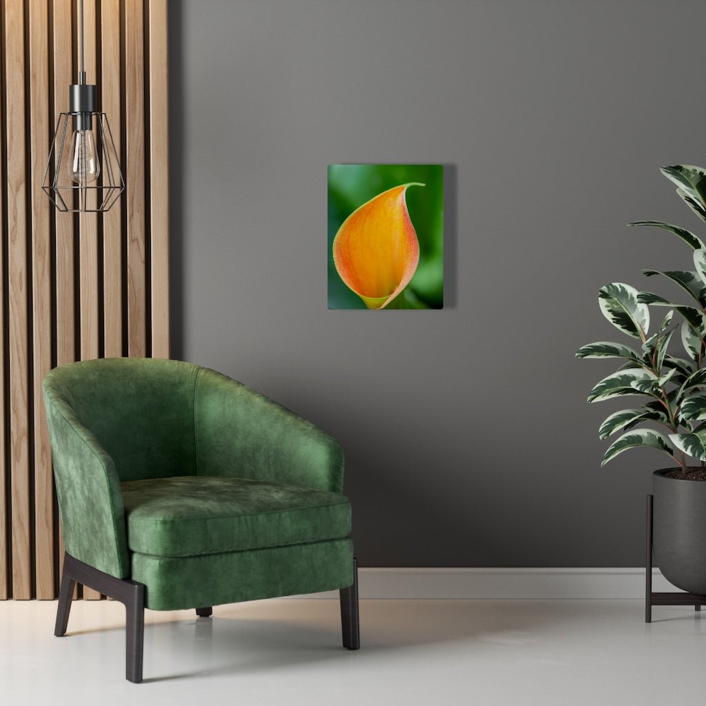 Orange Calla Lily - Canvas - Visiting This World