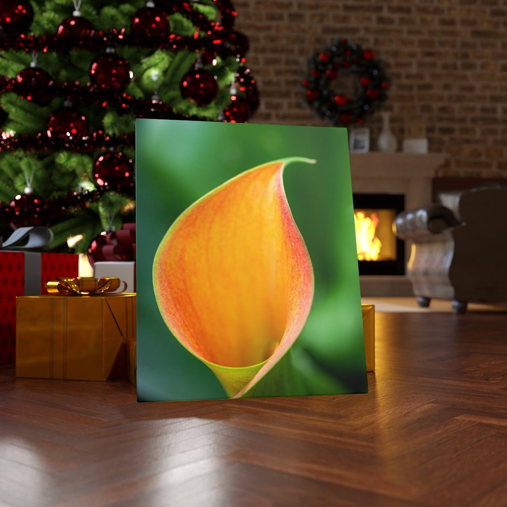 Orange Calla Lily - Canvas - Visiting This World