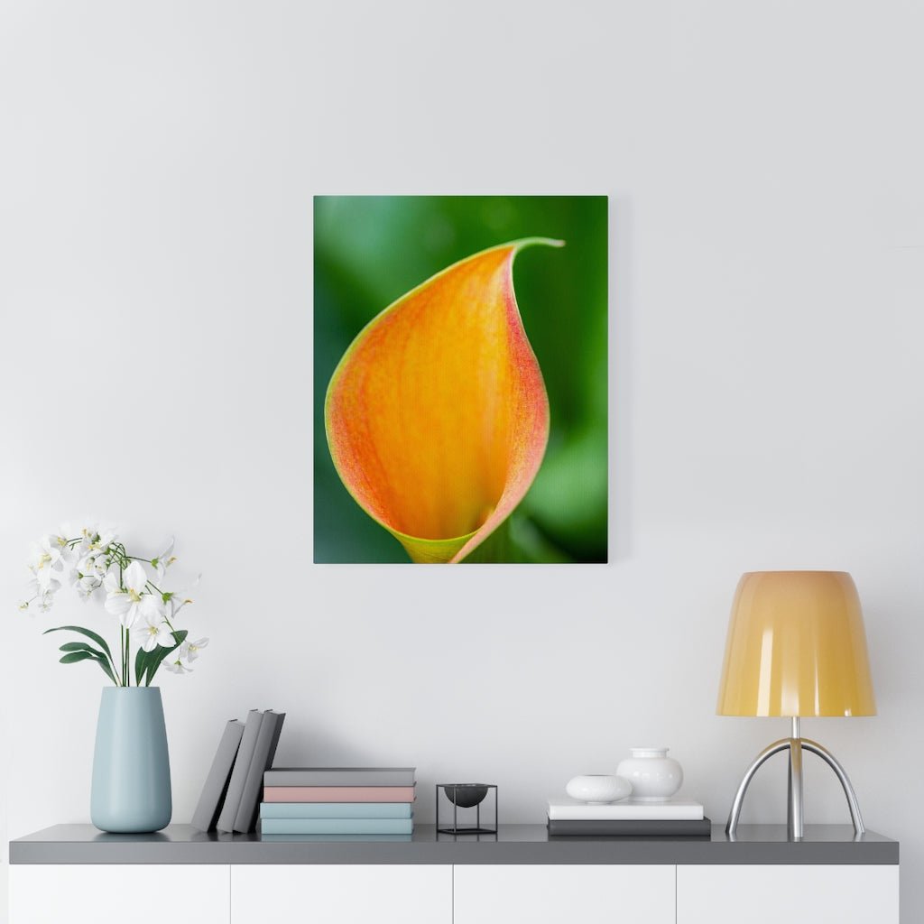 Orange Calla Lily - Canvas - Visiting This World