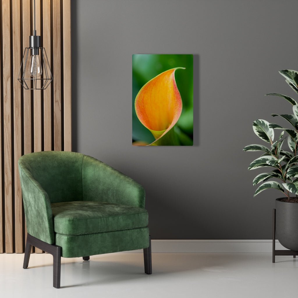 Orange Calla Lily - Canvas - Visiting This World