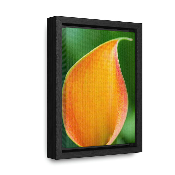 Orange Calla Lily - Canvas with Frame - Visiting This World