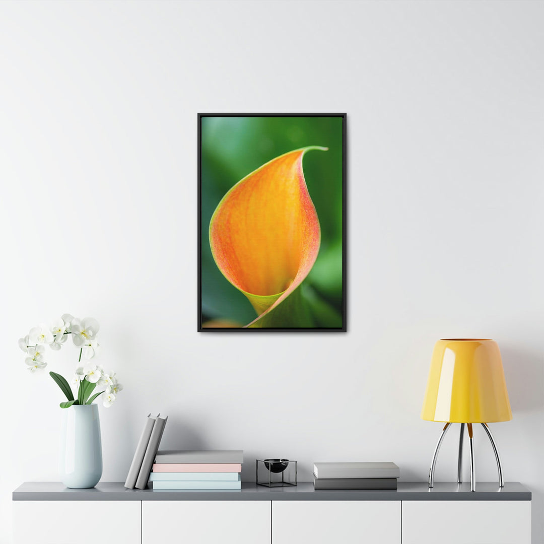 Orange Calla Lily - Canvas with Frame - Visiting This World