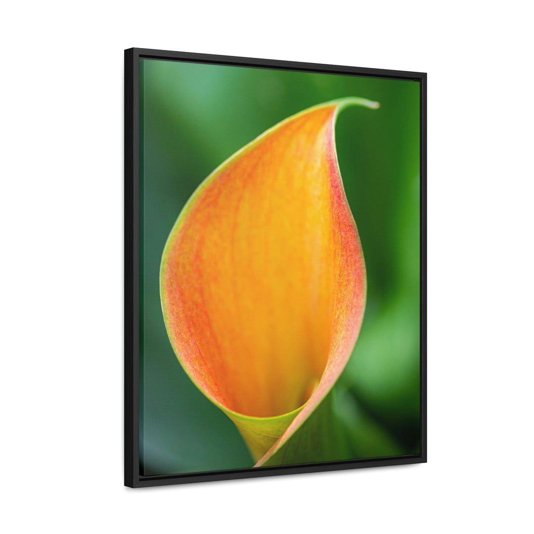 Orange Calla Lily - Canvas with Frame - Visiting This World