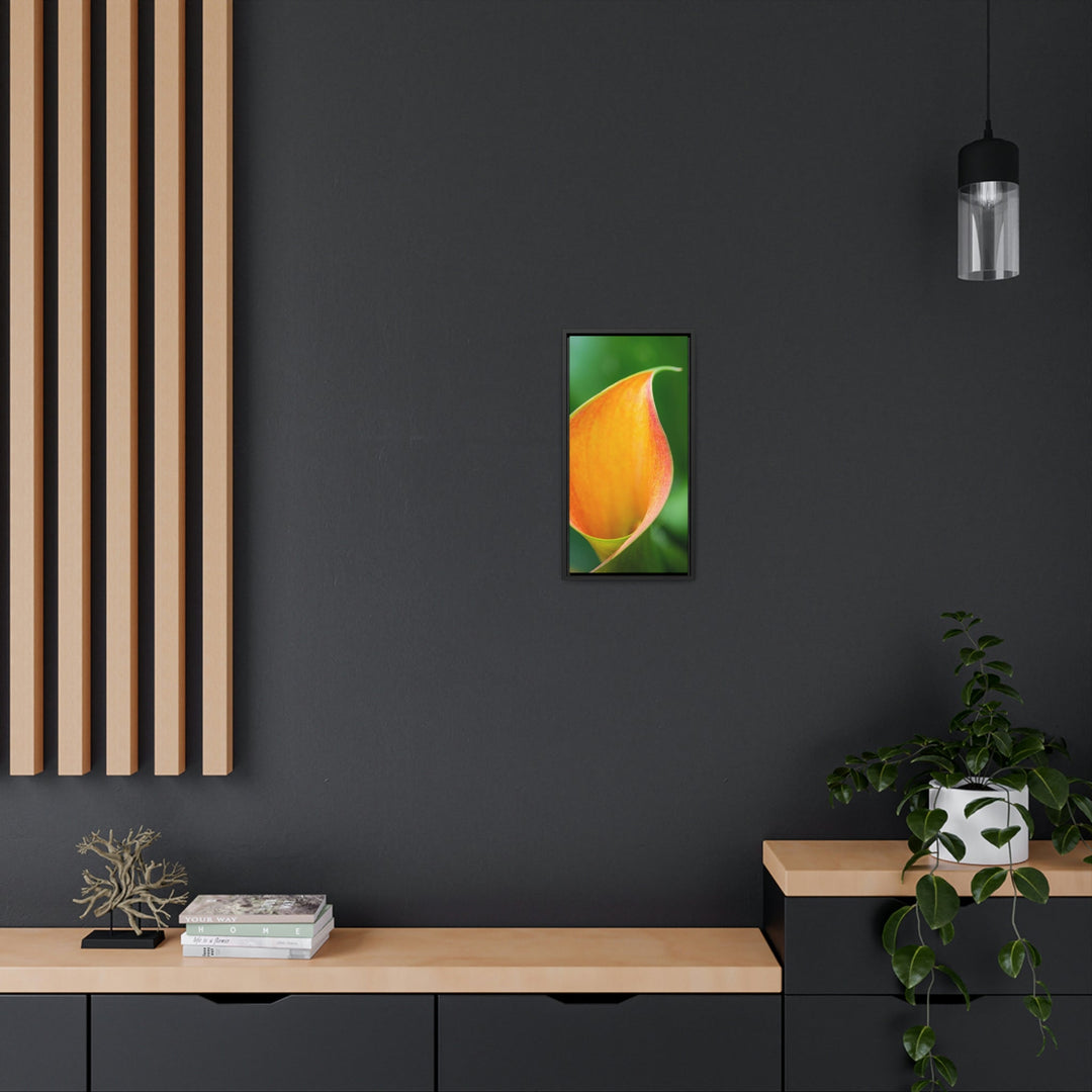 Orange Calla Lily - Canvas with Frame - Visiting This World