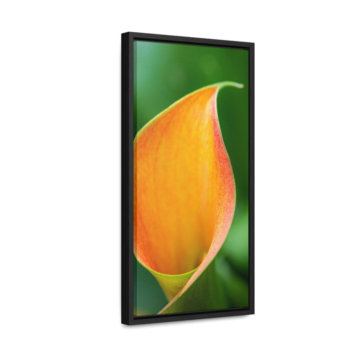 Orange Calla Lily - Canvas with Frame - Visiting This World