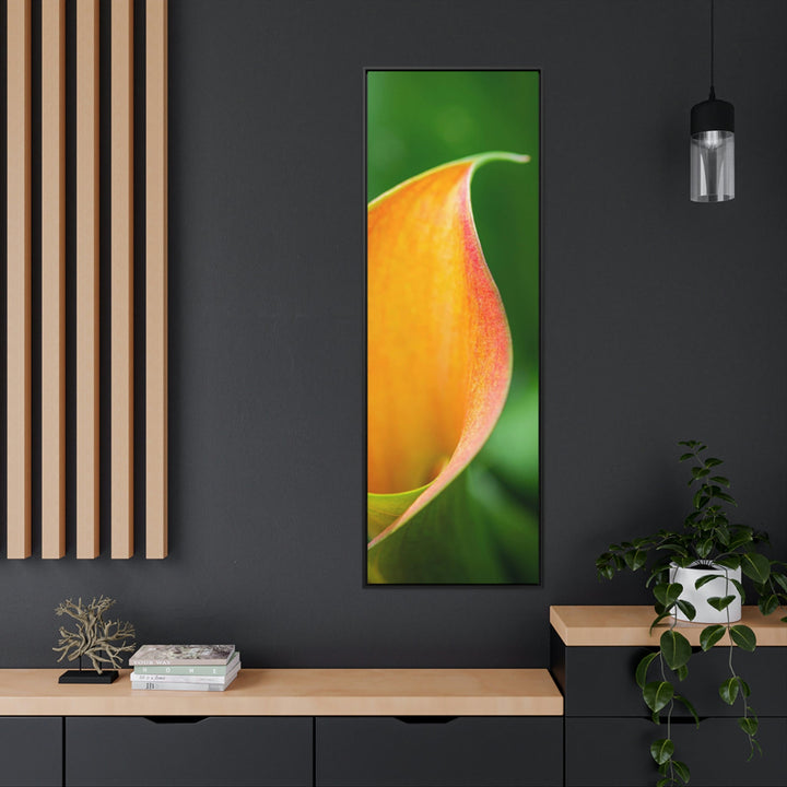 Orange Calla Lily - Canvas with Frame - Visiting This World