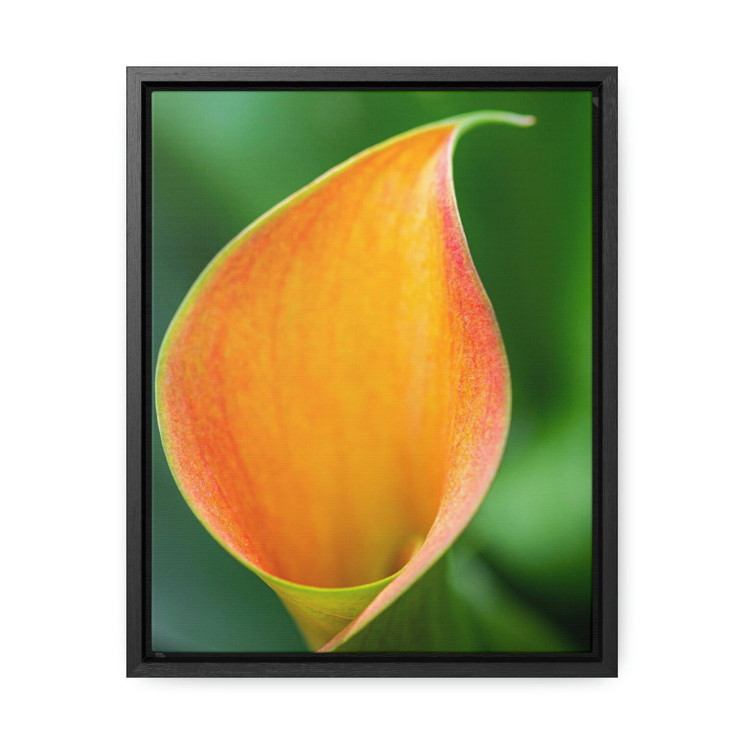 Orange Calla Lily - Canvas with Frame - Visiting This World