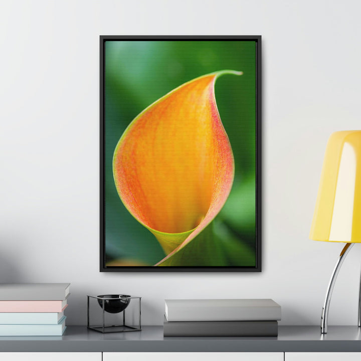 Orange Calla Lily - Canvas with Frame - Visiting This World