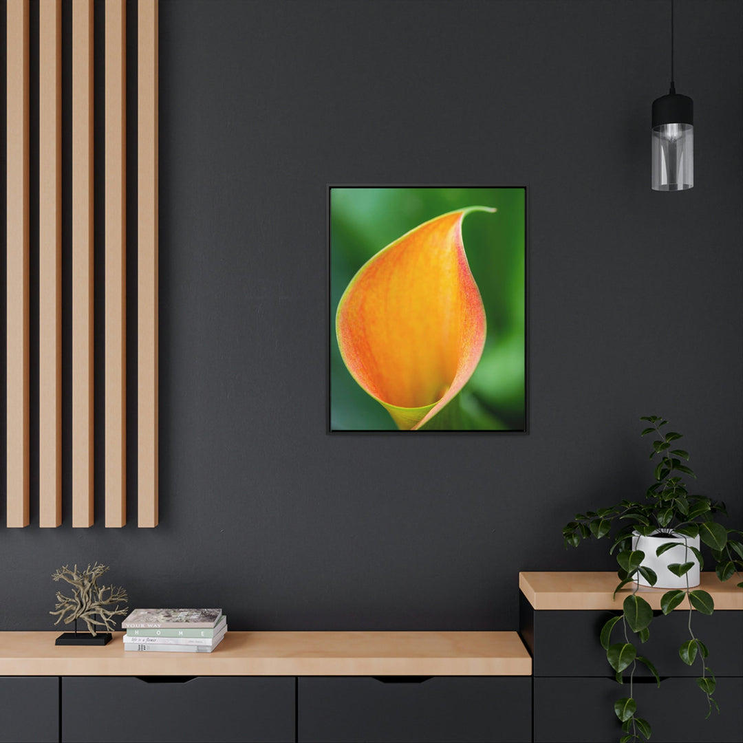 Orange Calla Lily - Canvas with Frame - Visiting This World