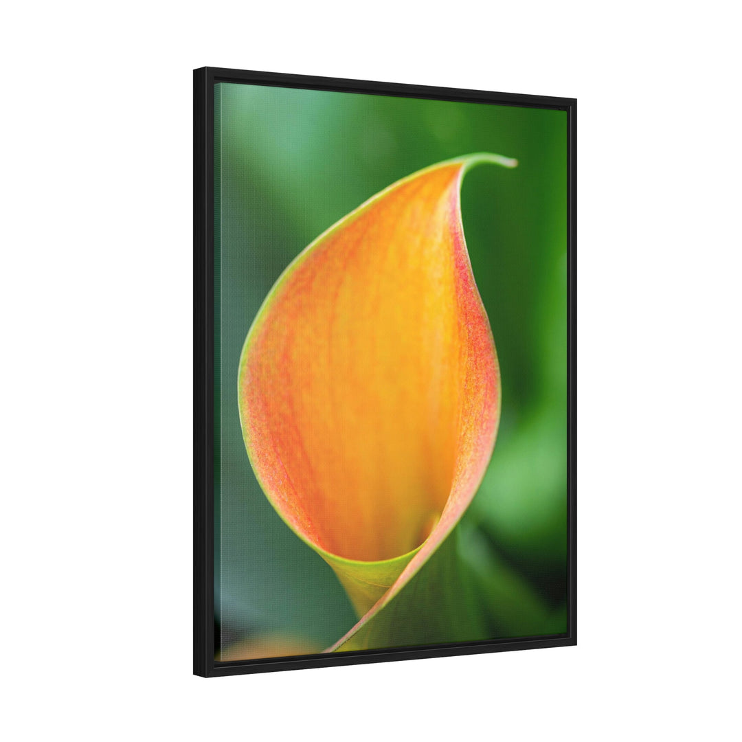 Orange Calla Lily - Canvas with Frame - Visiting This World