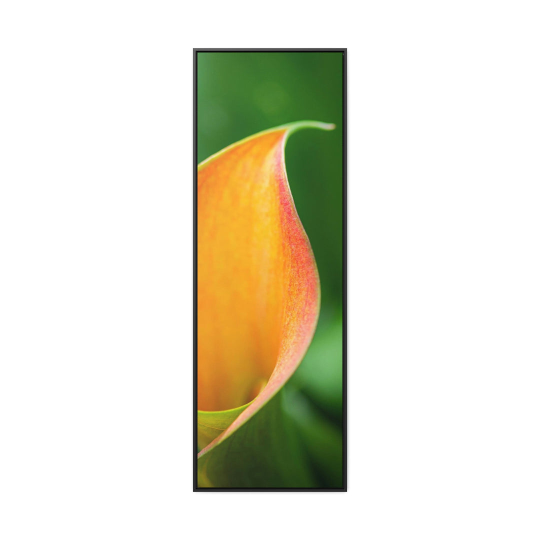 Orange Calla Lily - Canvas with Frame - Visiting This World