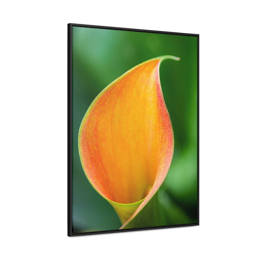 Orange Calla Lily - Canvas with Frame - Visiting This World