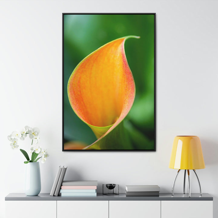 Orange Calla Lily - Canvas with Frame - Visiting This World