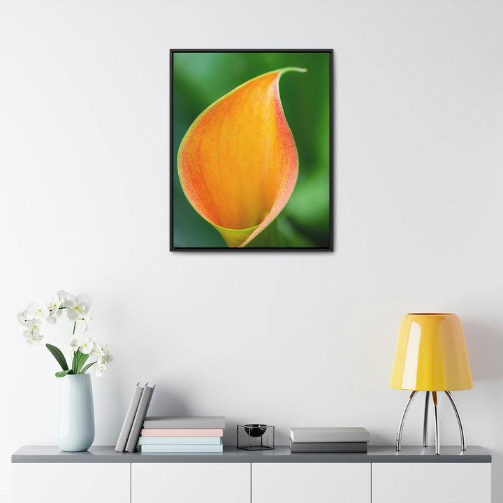 Orange Calla Lily - Canvas with Frame - Visiting This World