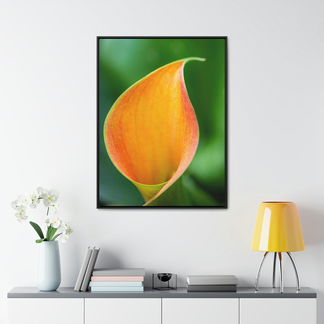 Orange Calla Lily - Canvas with Frame - Visiting This World