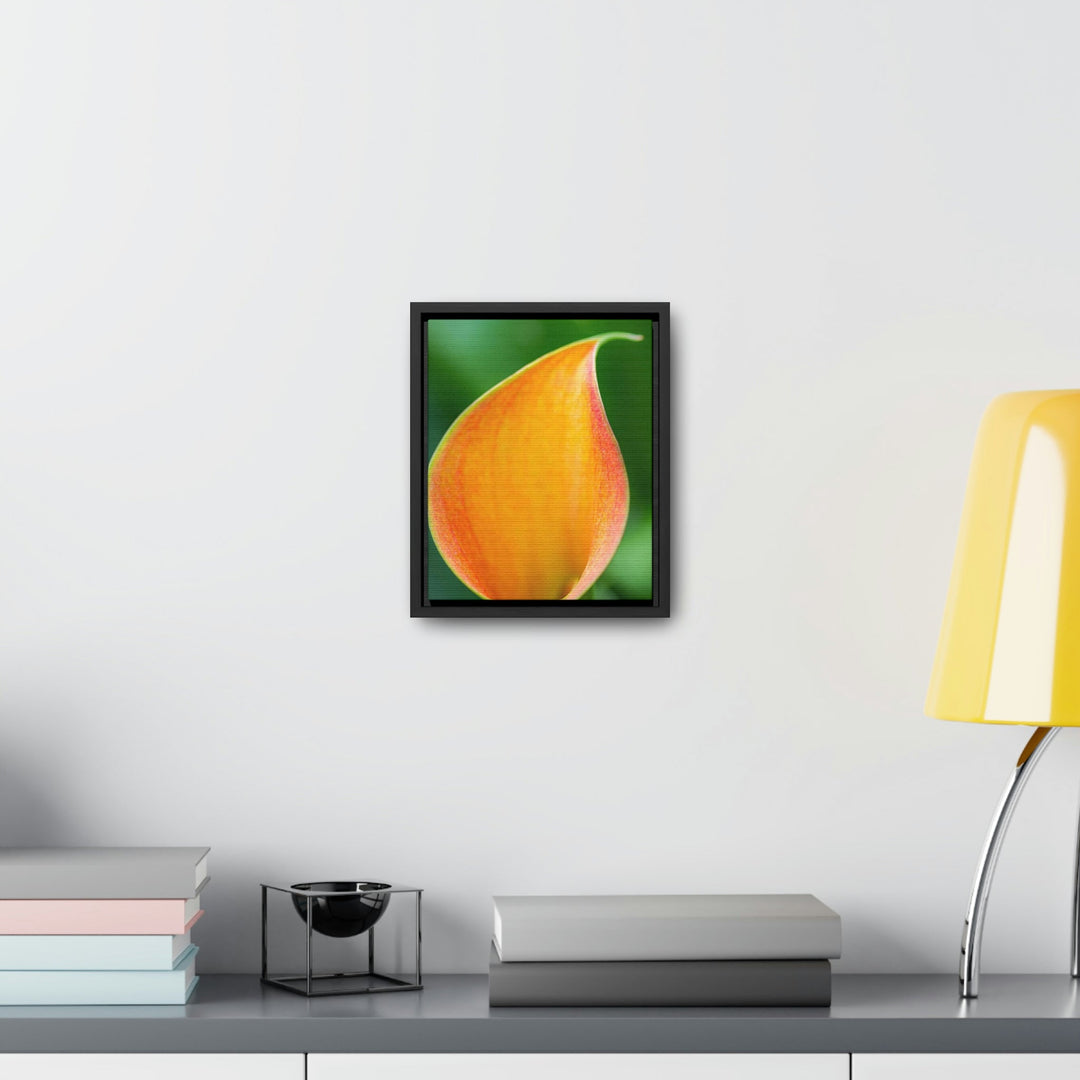 Orange Calla Lily - Canvas with Frame - Visiting This World