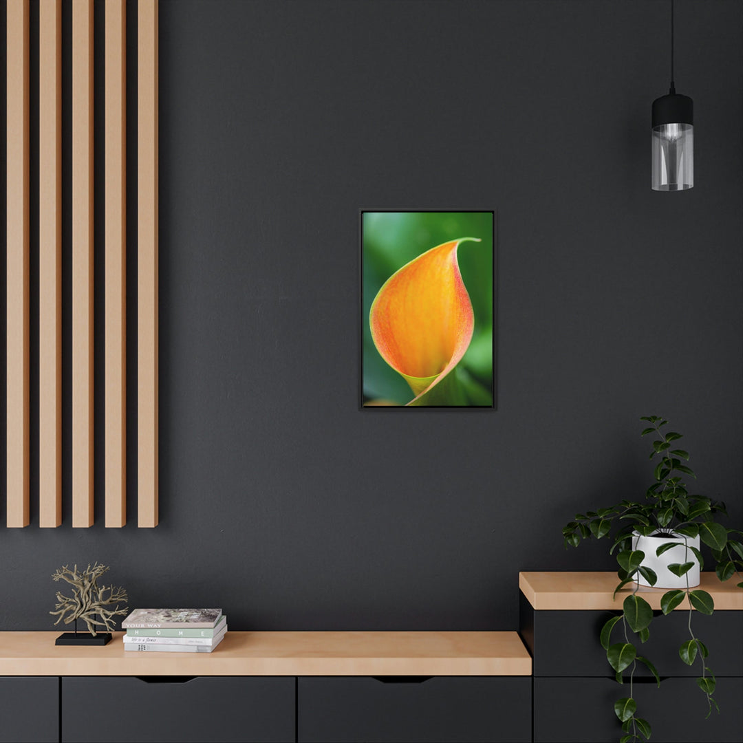 Orange Calla Lily - Canvas with Frame - Visiting This World