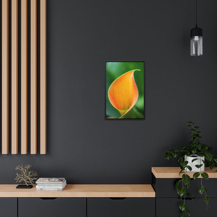 Orange Calla Lily - Canvas with Frame - Visiting This World