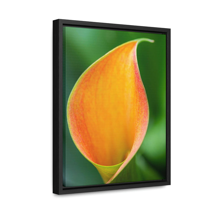 Orange Calla Lily - Canvas with Frame - Visiting This World