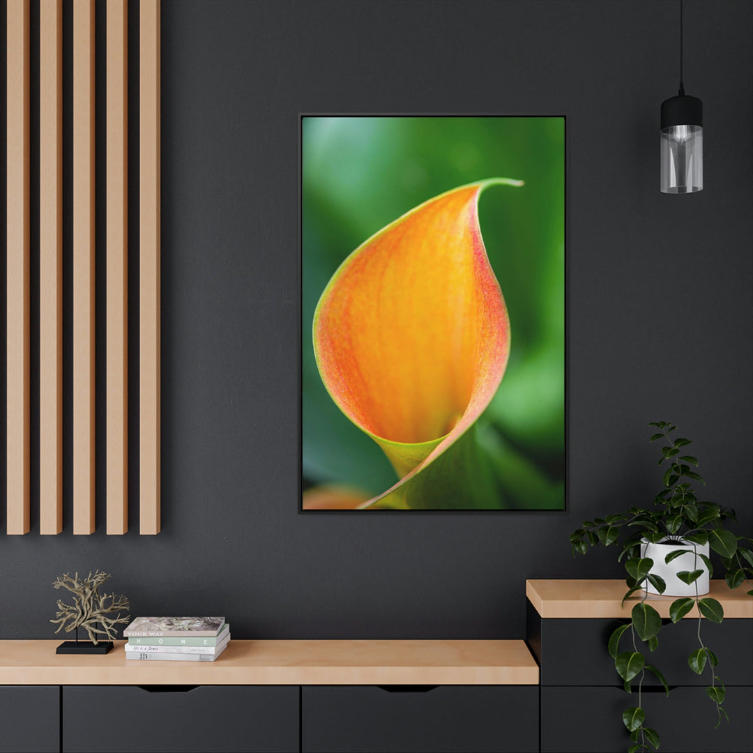 Orange Calla Lily - Canvas with Frame - Visiting This World