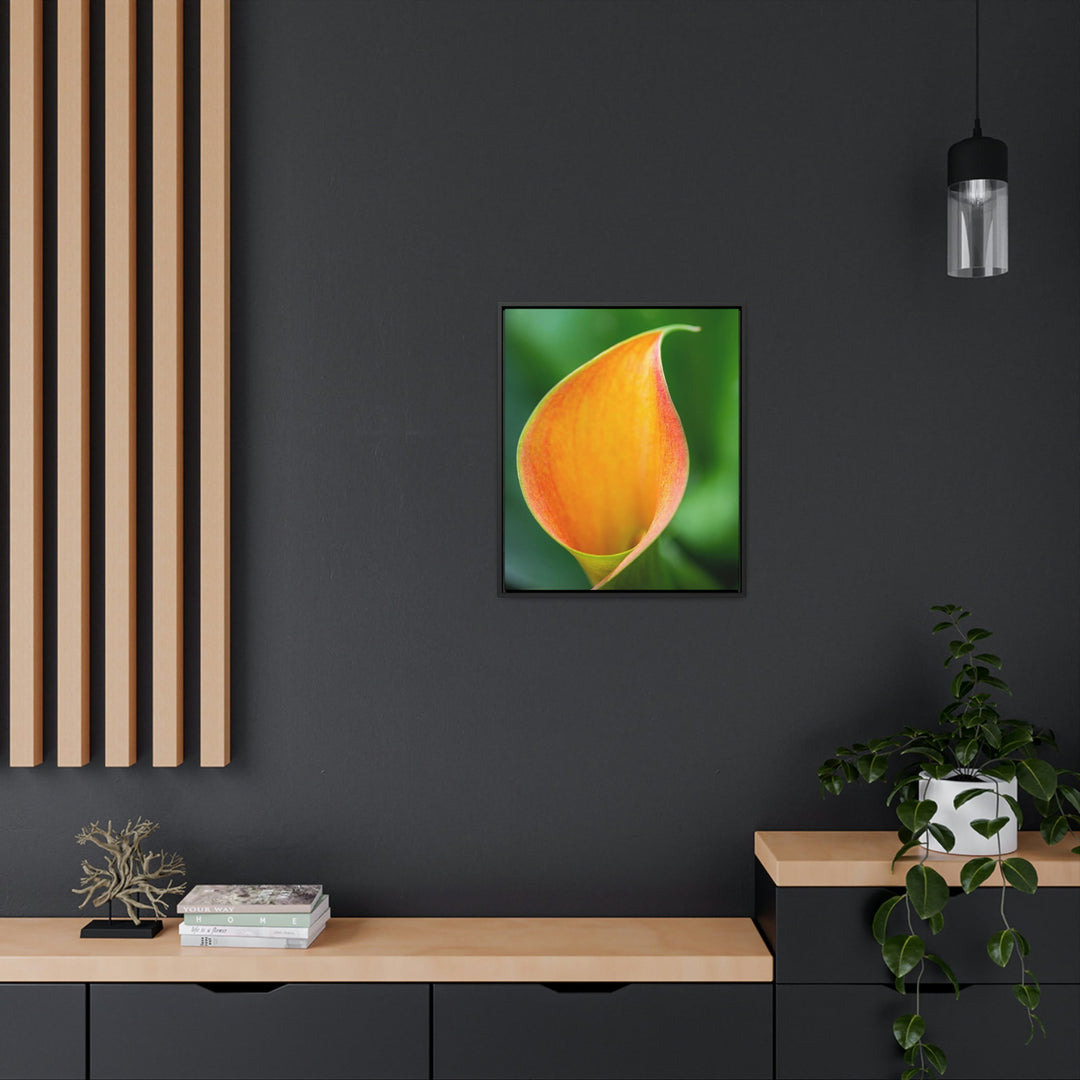 Orange Calla Lily - Canvas with Frame - Visiting This World