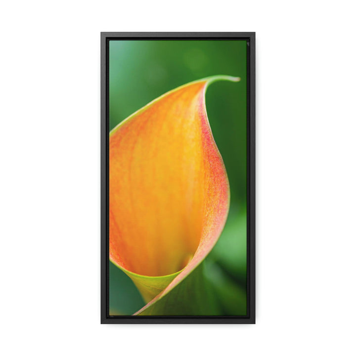 Orange Calla Lily - Canvas with Frame - Visiting This World