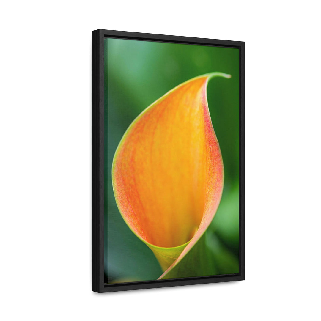 Orange Calla Lily - Canvas with Frame - Visiting This World