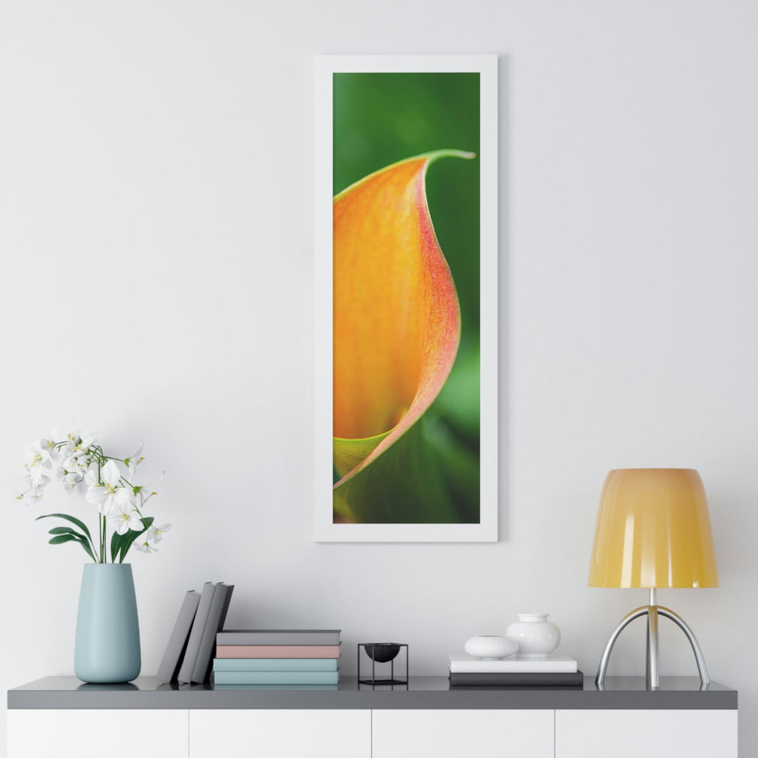 Orange Calla Lily - Framed Print - Visiting This World