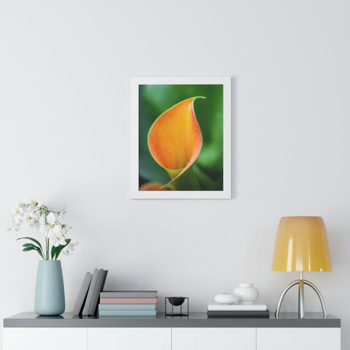 Orange Calla Lily - Framed Print - Visiting This World