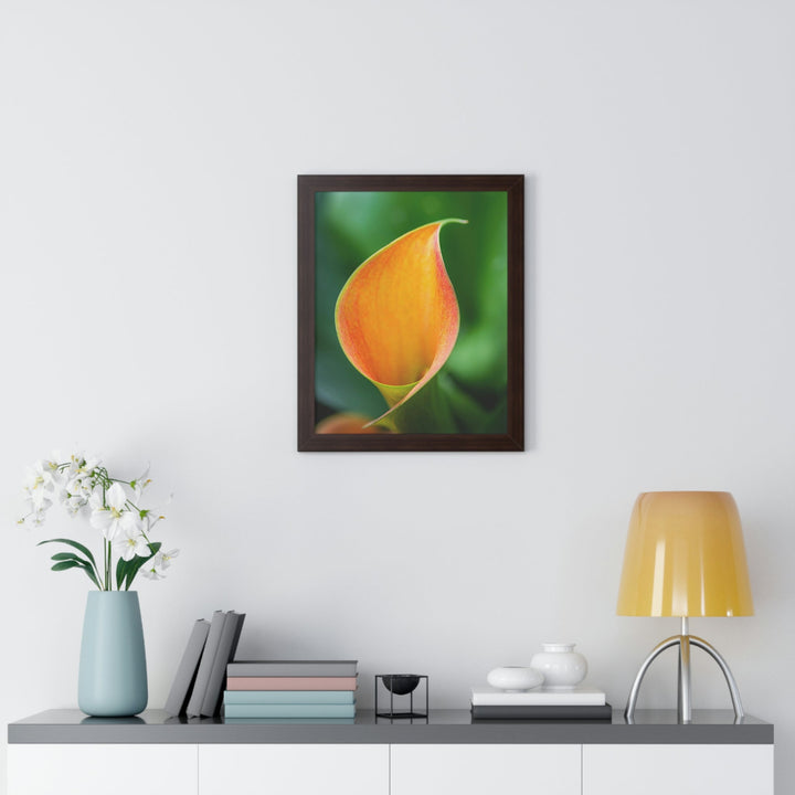 Orange Calla Lily - Framed Print - Visiting This World