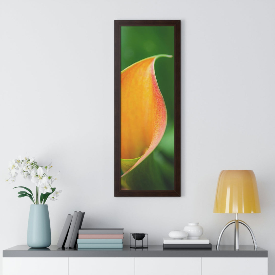 Orange Calla Lily - Framed Print - Visiting This World