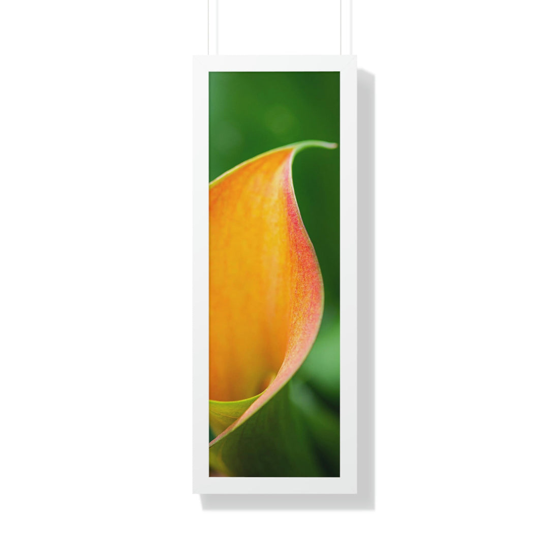 Orange Calla Lily - Framed Print - Visiting This World