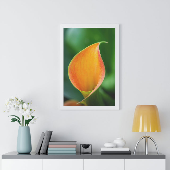 Orange Calla Lily - Framed Print - Visiting This World