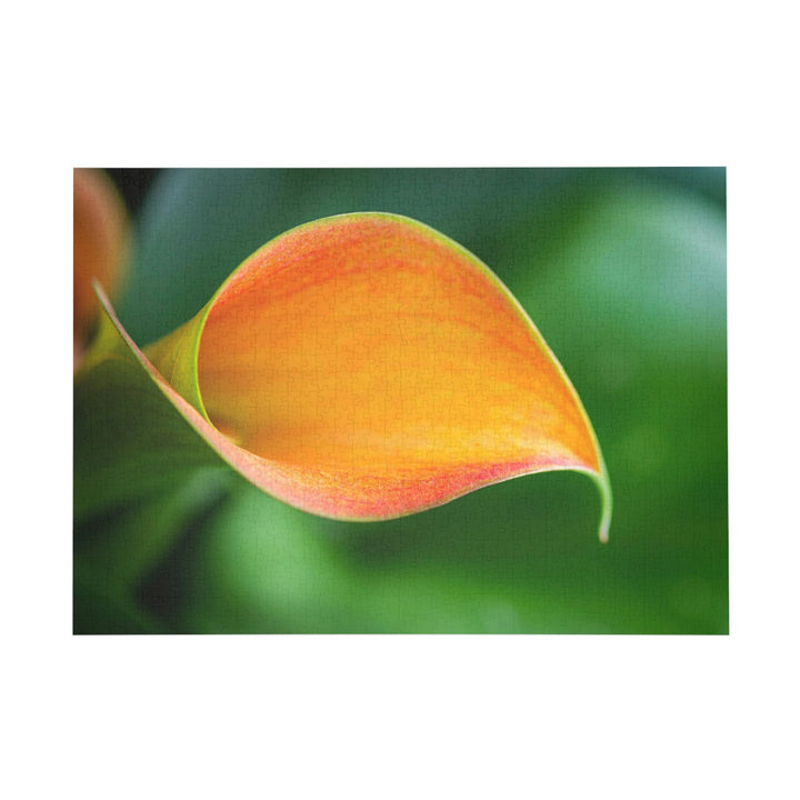 Orange Calla Lily - Nature Puzzle (96, 252, 500, 1000-Piece) - Visiting This World