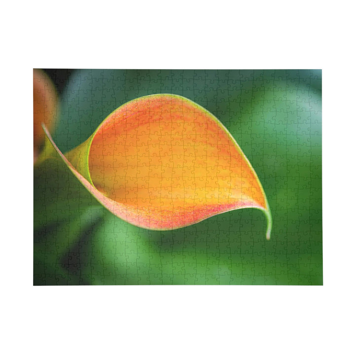 Orange Calla Lily - Nature Puzzle (96, 252, 500, 1000-Piece) - Visiting This World