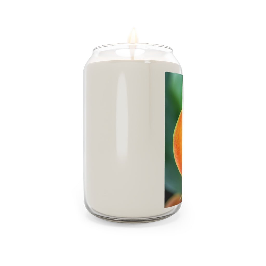 Orange Calla Lily - Scented Candle, 13.75oz - Visiting This World