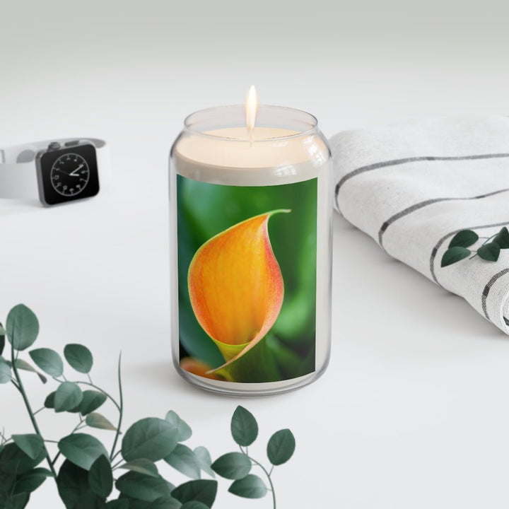 Orange Calla Lily - Scented Candle, 13.75oz - Visiting This World