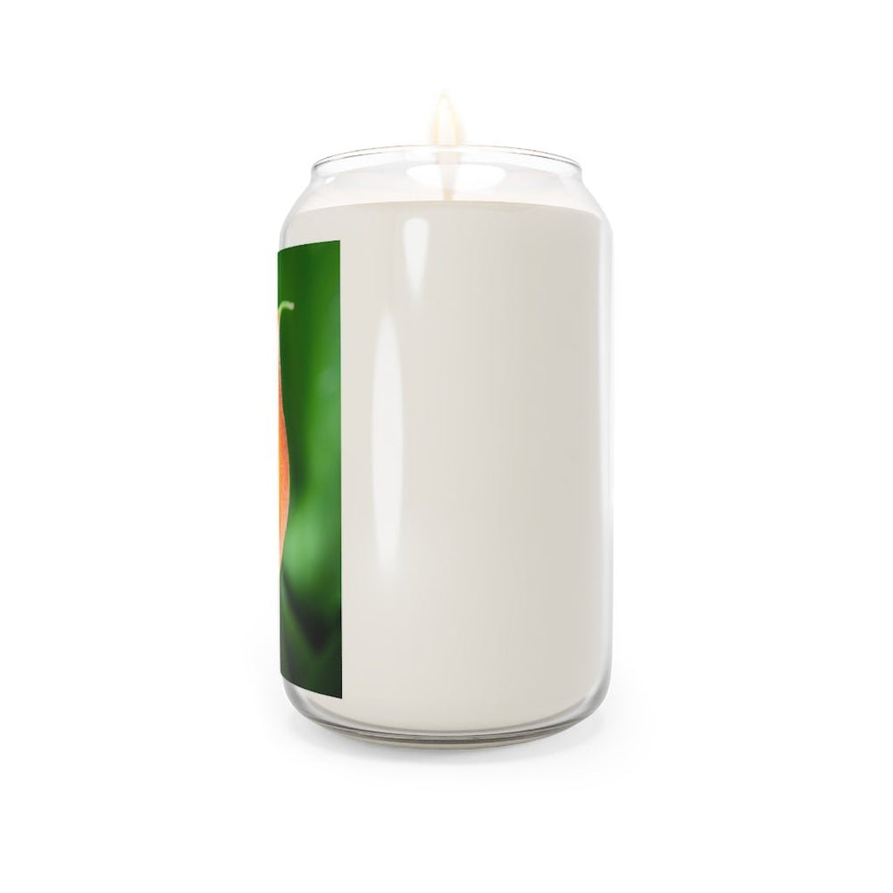 Orange Calla Lily - Scented Candle, 13.75oz - Visiting This World