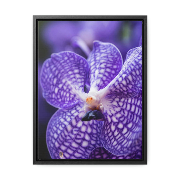 Orchid Detail - Canvas with Frame - Visiting This World