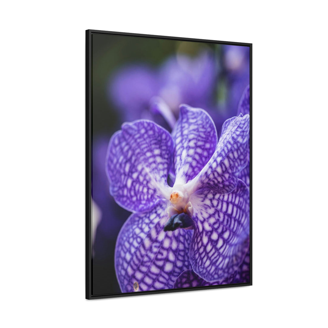 Orchid Detail - Canvas with Frame - Visiting This World