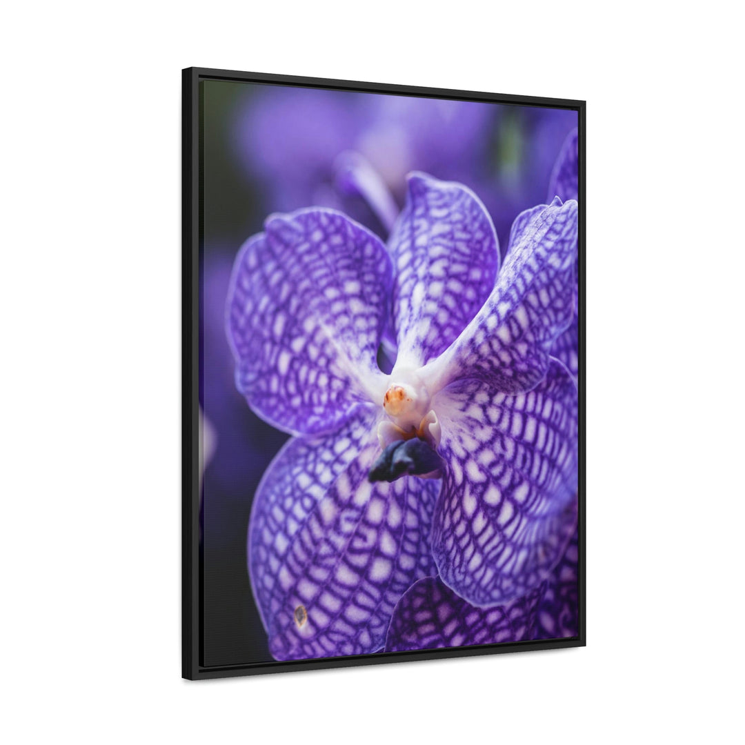 Orchid Detail - Canvas with Frame - Visiting This World