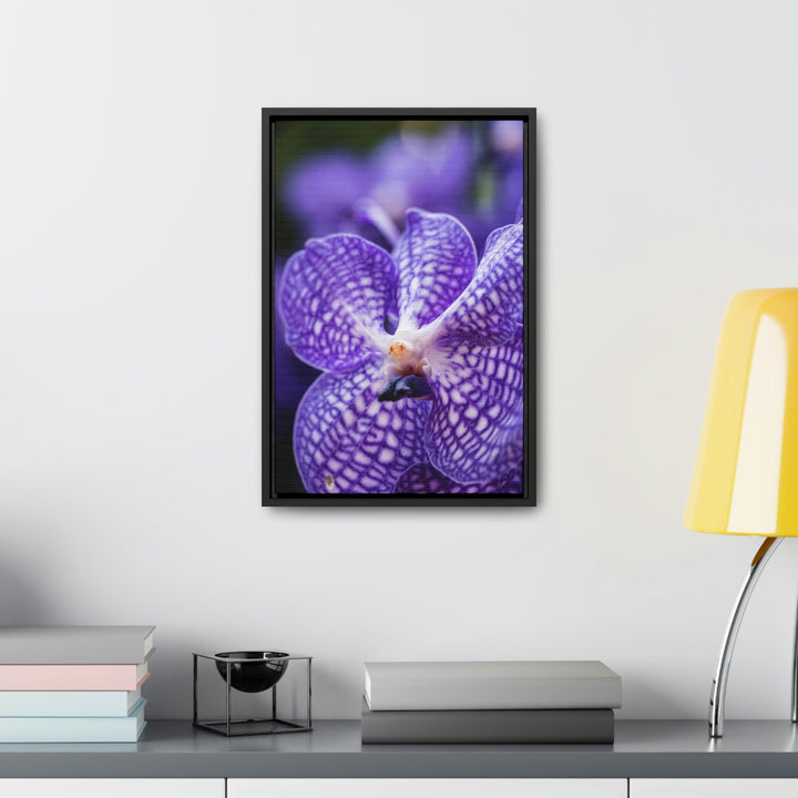 Orchid Detail - Canvas with Frame - Visiting This World