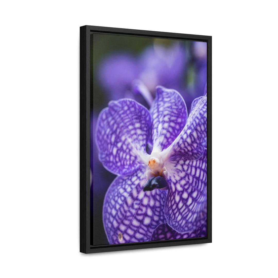 Orchid Detail - Canvas with Frame - Visiting This World