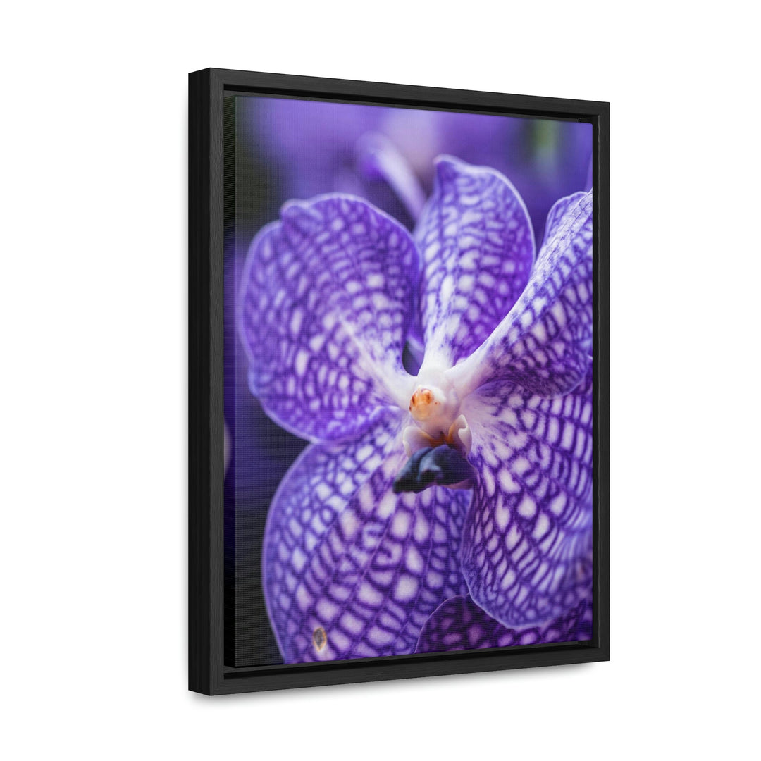 Orchid Detail - Canvas with Frame - Visiting This World