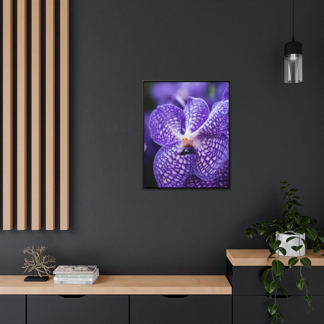 Orchid Detail - Canvas with Frame - Visiting This World