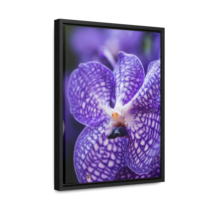 Orchid Detail - Canvas with Frame - Visiting This World