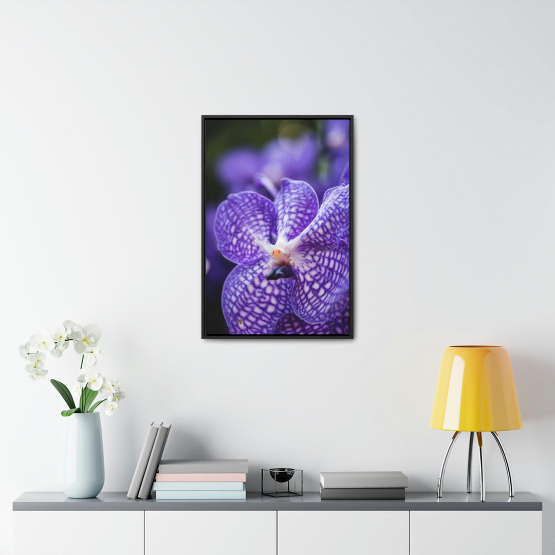 Orchid Detail - Canvas with Frame - Visiting This World